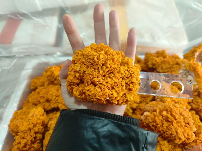 金耳菌干品，质量保证，品相好，量多优惠