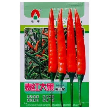正品泰红大果朝天椒种子云贵川两广热销品种大果朝天椒