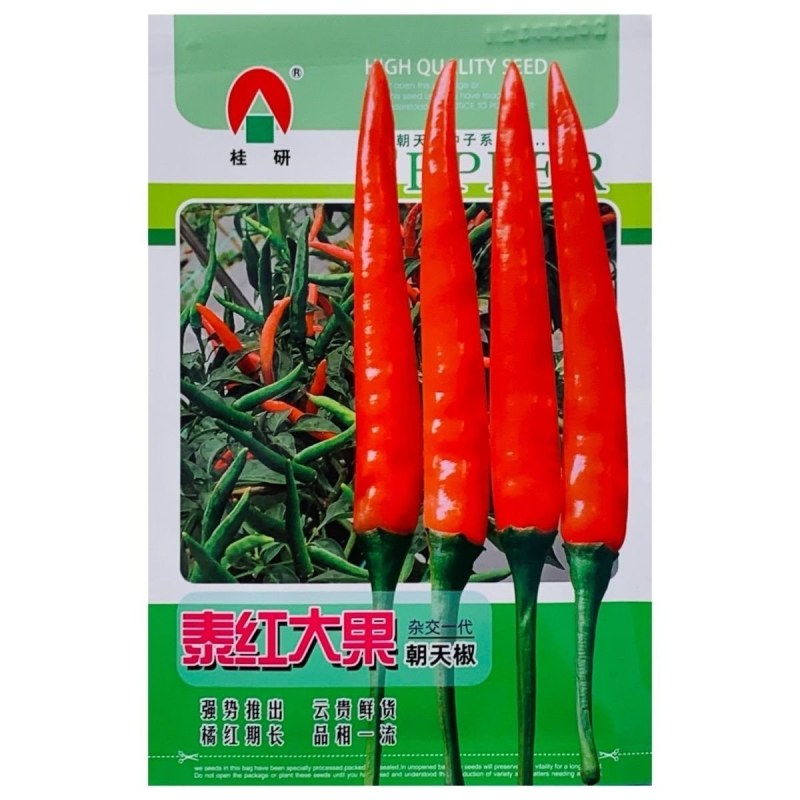 正品泰红大果朝天椒种子云贵川两广热销品种大果朝天椒