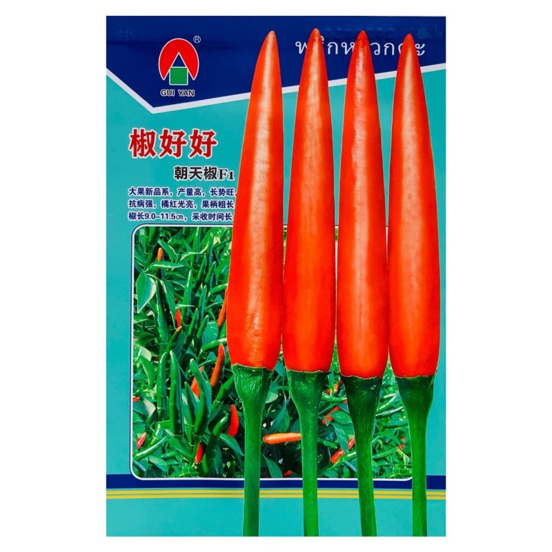 椒好好朝天椒种子特大果泰国引进基地专用高产香辣