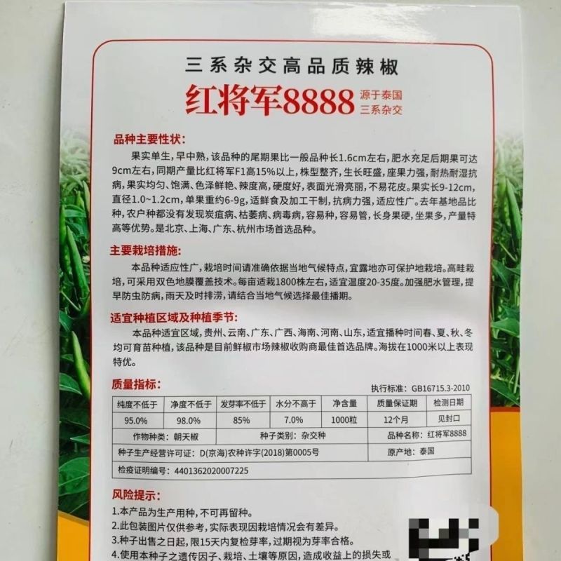 红将军8888大果朝天椒**大号特辣单生大果型青红两用基