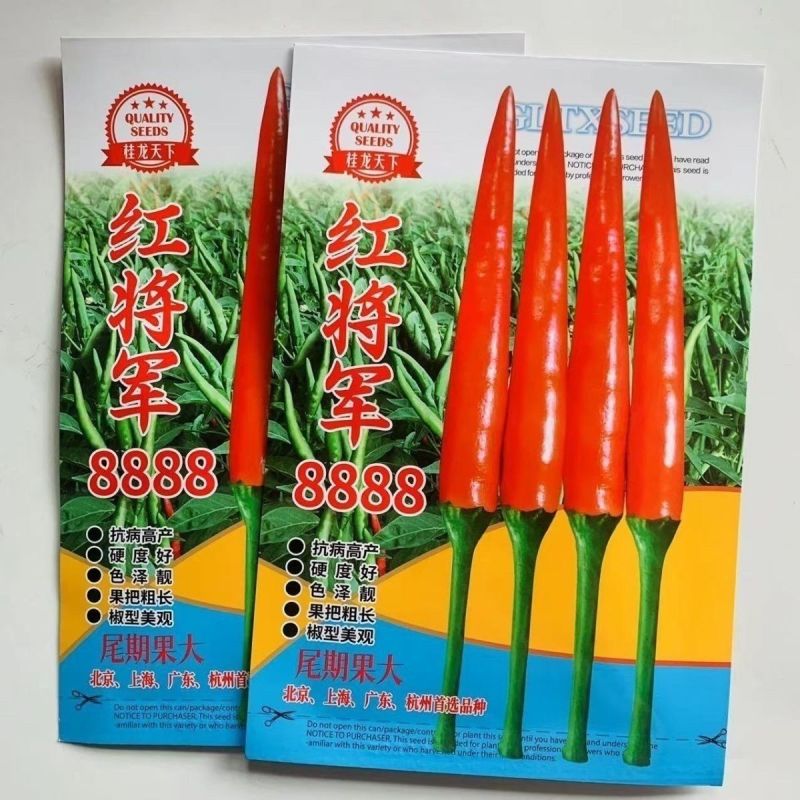 红将军8888大果朝天椒**大号特辣单生大果型青红两用基
