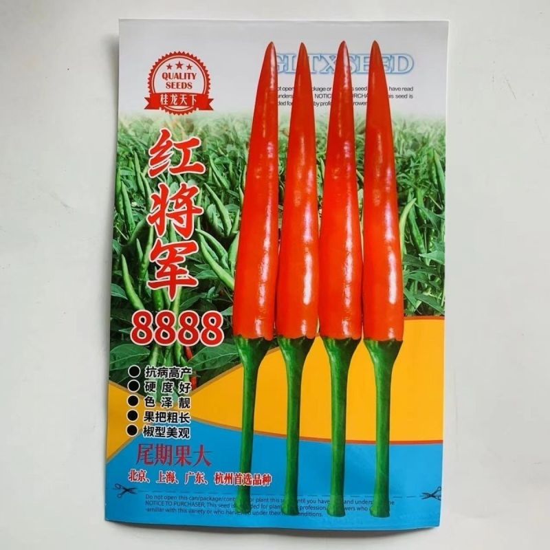 红将军8888大果朝天椒**大号特辣单生大果型青红两用基