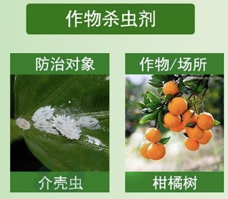 君达39%螺虫噻嗪酮柑橘树介壳虫农药杀虫剂