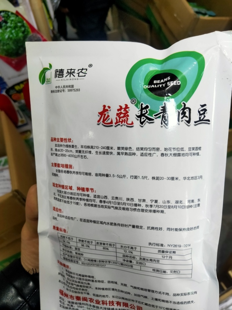 长青肉豆种子春秋种植嫩荚绿色豆荚圆棍形早熟品种