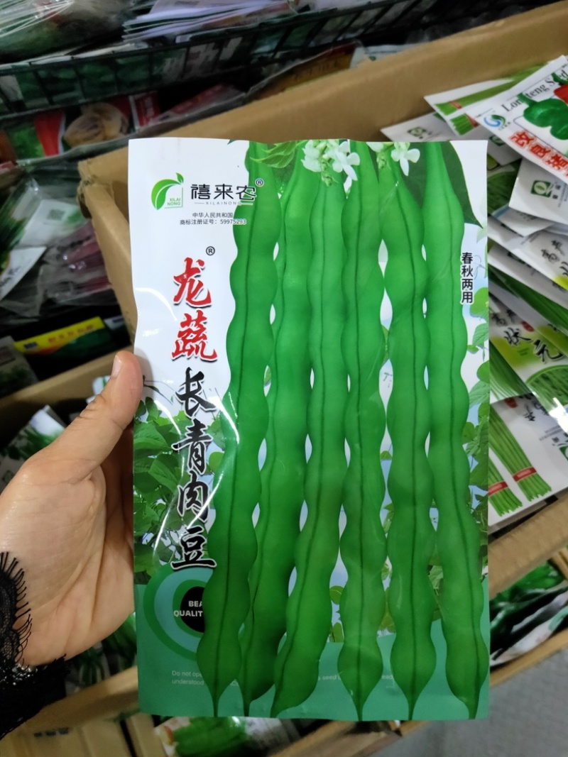 长青肉豆种子春秋种植嫩荚绿色豆荚圆棍形早熟品种