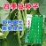 长青肉豆种子春秋种植嫩荚绿色豆荚圆棍形早熟品种