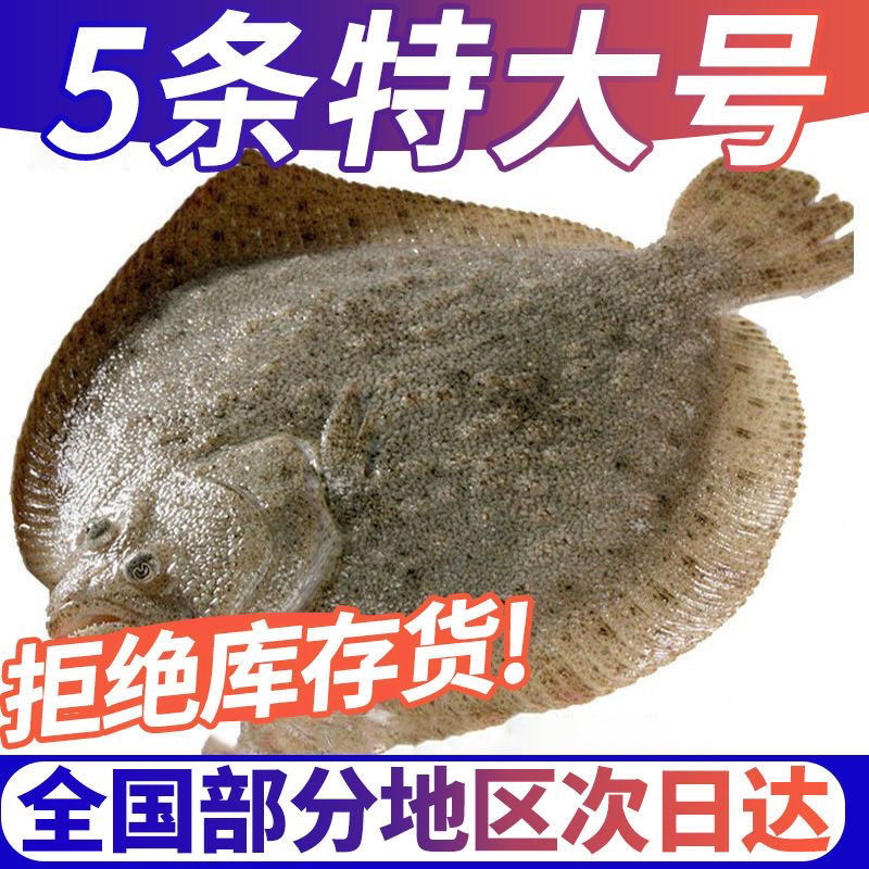 酒店餐饮用多宝鱼去内脏1斤每条