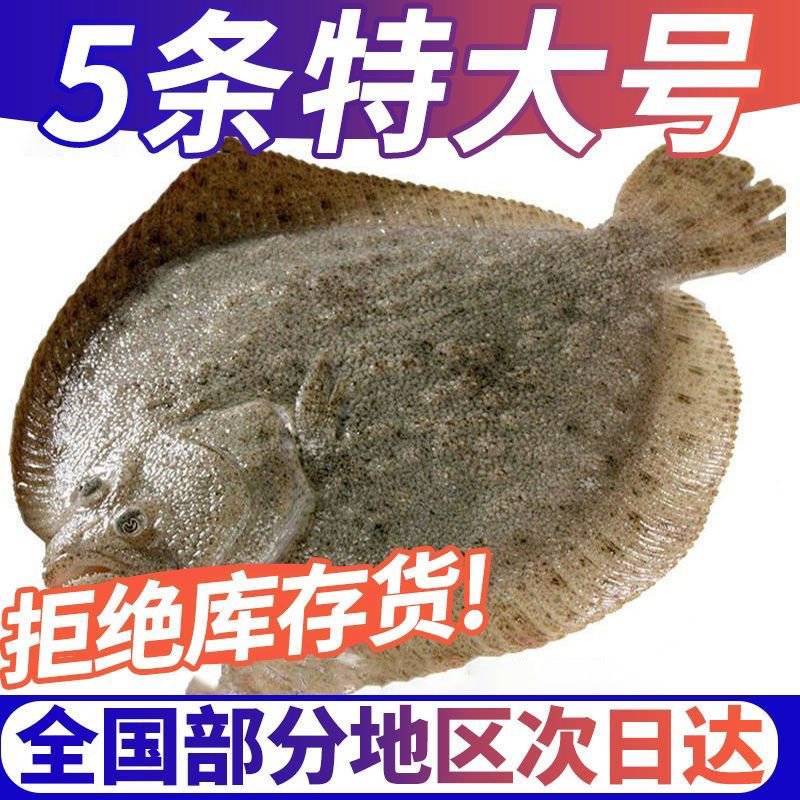酒店餐饮用多宝鱼去内脏1斤每条