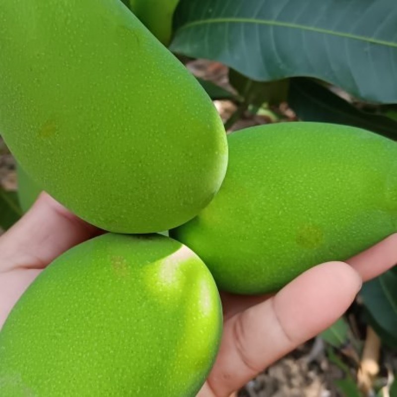 有需求就找我专业代办十年余