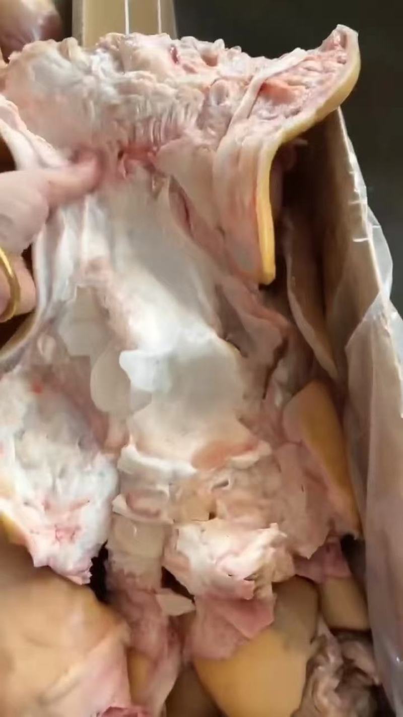 山东精品牛蹄大量供应，货源充足，量大从优，保质保量新鲜发