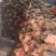 山东精品牛蹄大量供应，货源充足，量大从优，保质保量新鲜发