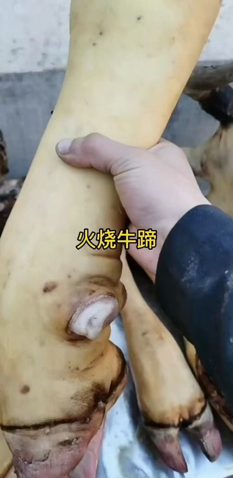 山东精品牛蹄大量供应，货源充足，量大从优，保质保量新鲜发