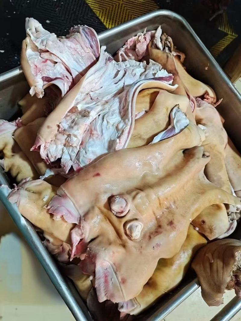 山东精品牛蹄大量供应，货源充足，量大从优，保质保量新鲜发