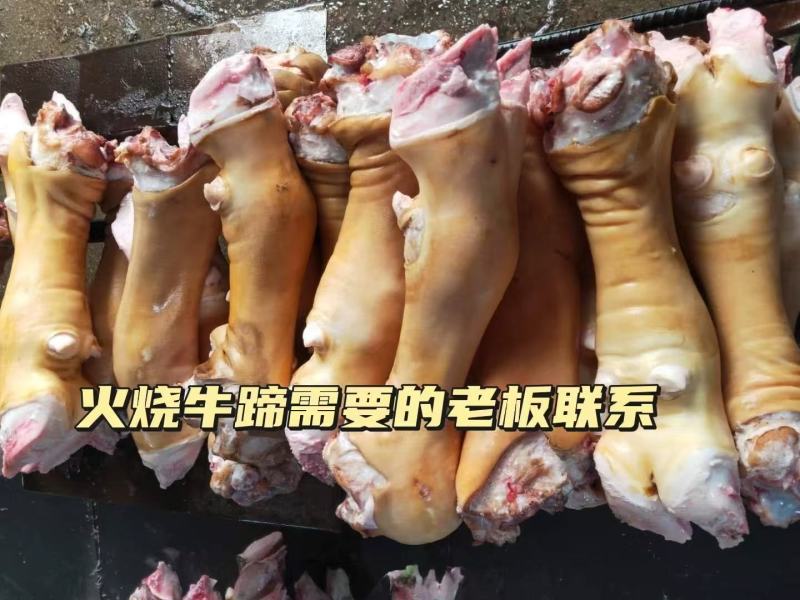 山东精品牛蹄大量供应，货源充足，量大从优，保质保量新鲜发