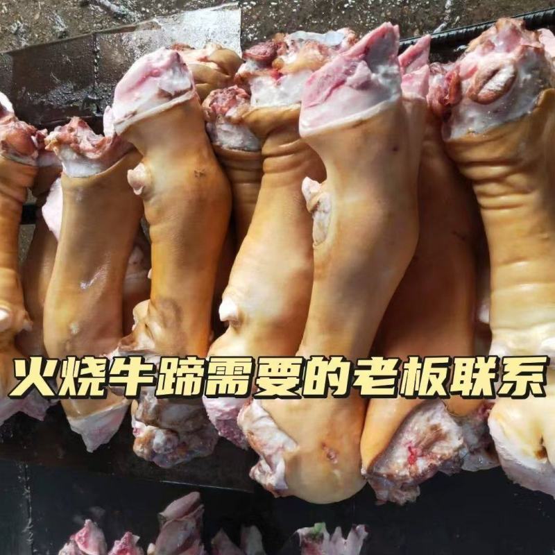 精品牛蹄大量供应，货源充足，新鲜发货，保质保量。可去骨