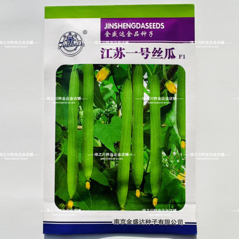 江蔬一号丝瓜种子特长丝瓜种籽早熟高产杂交果肉白绿色薄皮