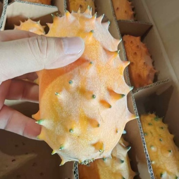 火参果