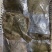 多宝鱼，一手货源，冰鲜，单冻，质量保证欢迎选购