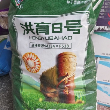洪育8号玉米种子高产抗病抗倒玉米种子