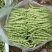 长青肉豆种子春秋种植嫩荚绿色豆荚圆棍形早熟品种