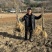 黄菠萝苗香水菠萝种苗基地直销量大质优价格优惠