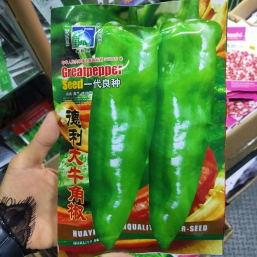 德利大牛角椒种子中早熟辣味较浓肉厚口感好果黄绿色