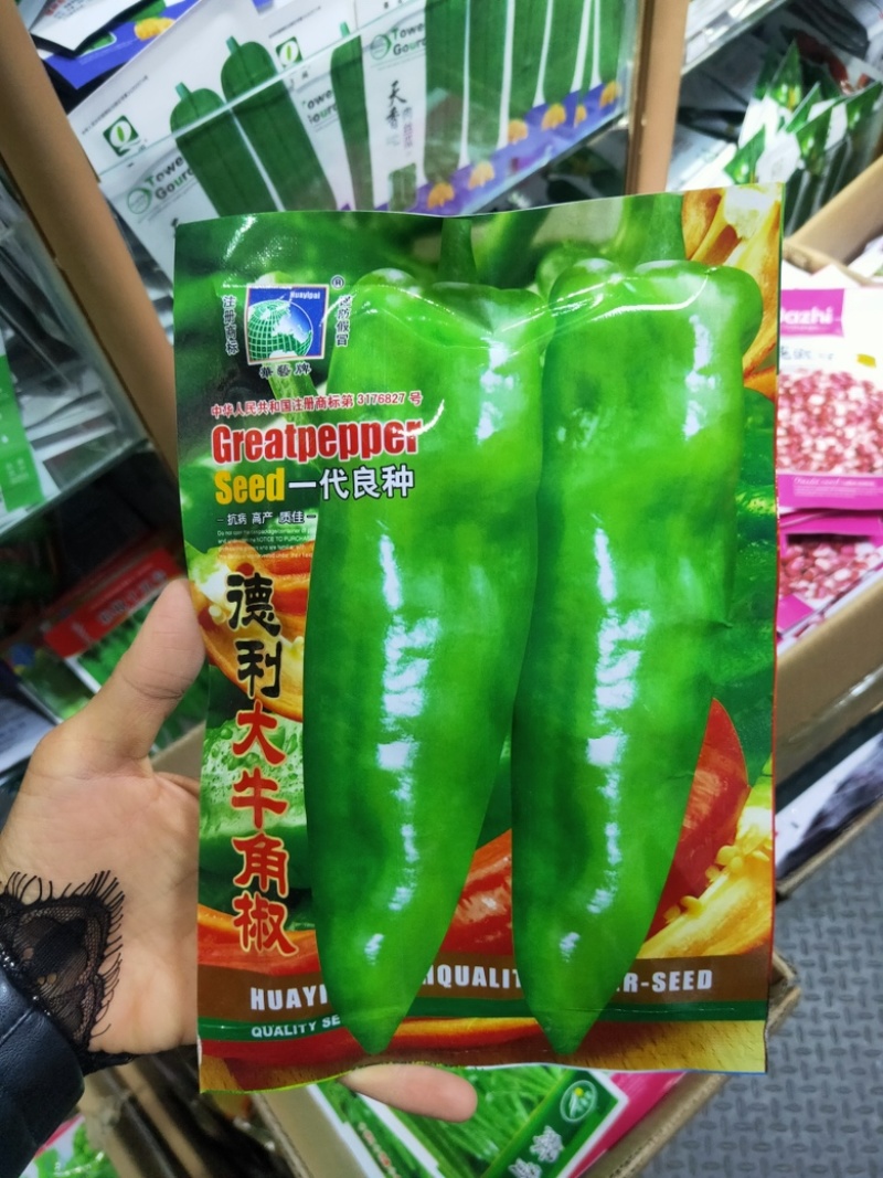 德利大牛角椒种子中早熟辣味较浓肉厚口感好果黄绿色