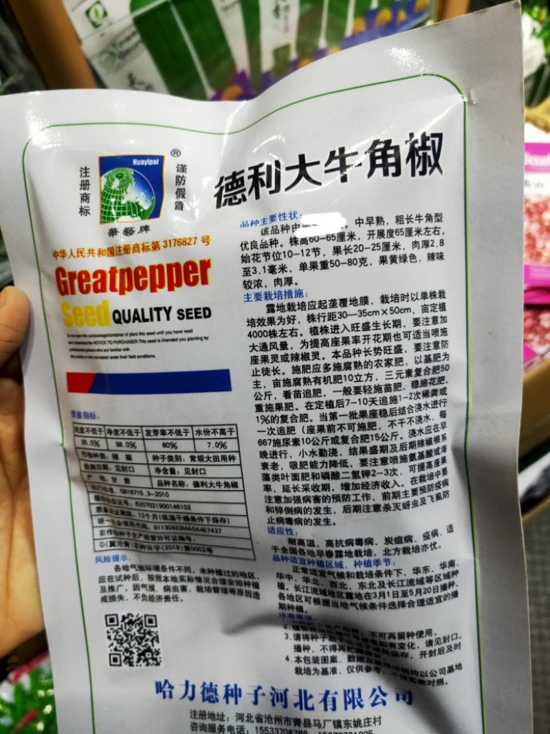 德利大牛角椒种子中早熟辣味较浓肉厚口感好果黄绿色