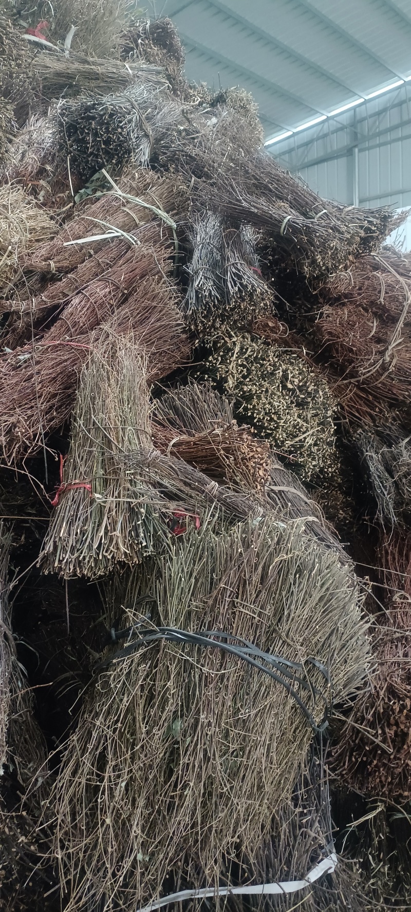 【牛商推荐】精品芶藤大量有货量大从优欢迎选购