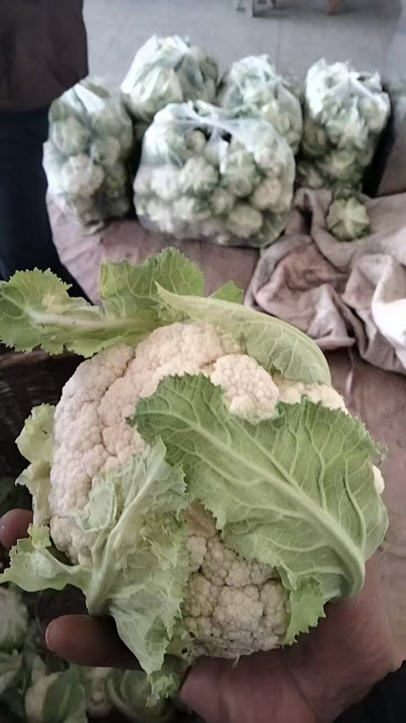 花菜