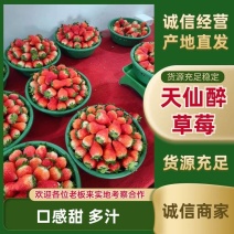 天仙醉草莓