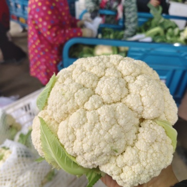 花菜