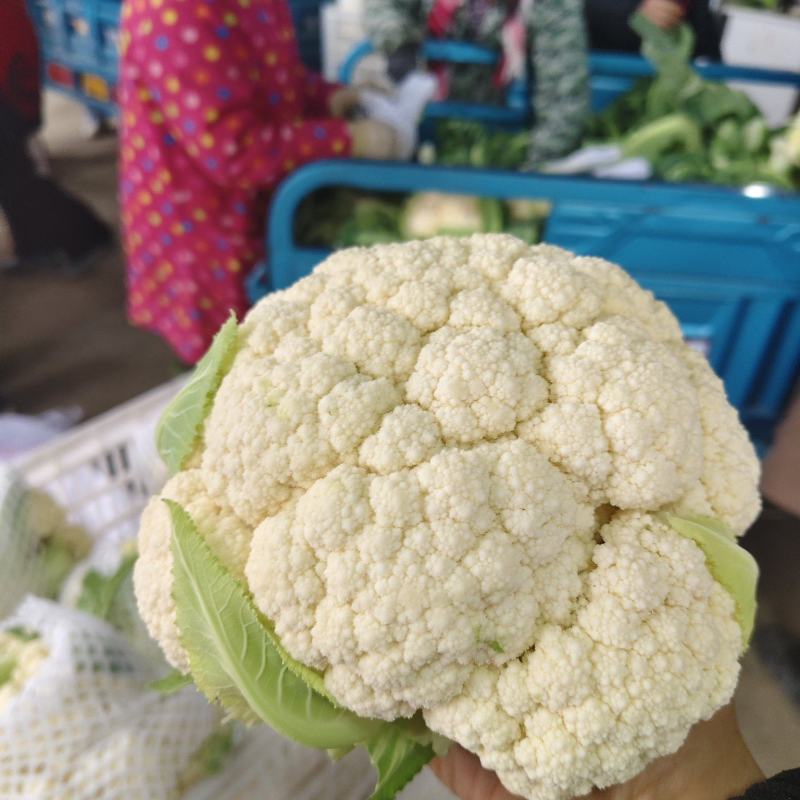 花菜