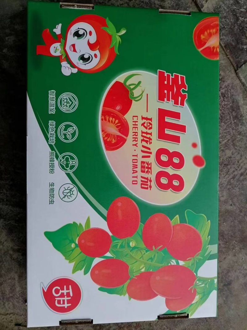 【市场热销】釜山88和青甜，大量供应，可视频看货
