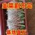紫根韭菜宿迁沭阳韭菜根韭菜苗电商供货