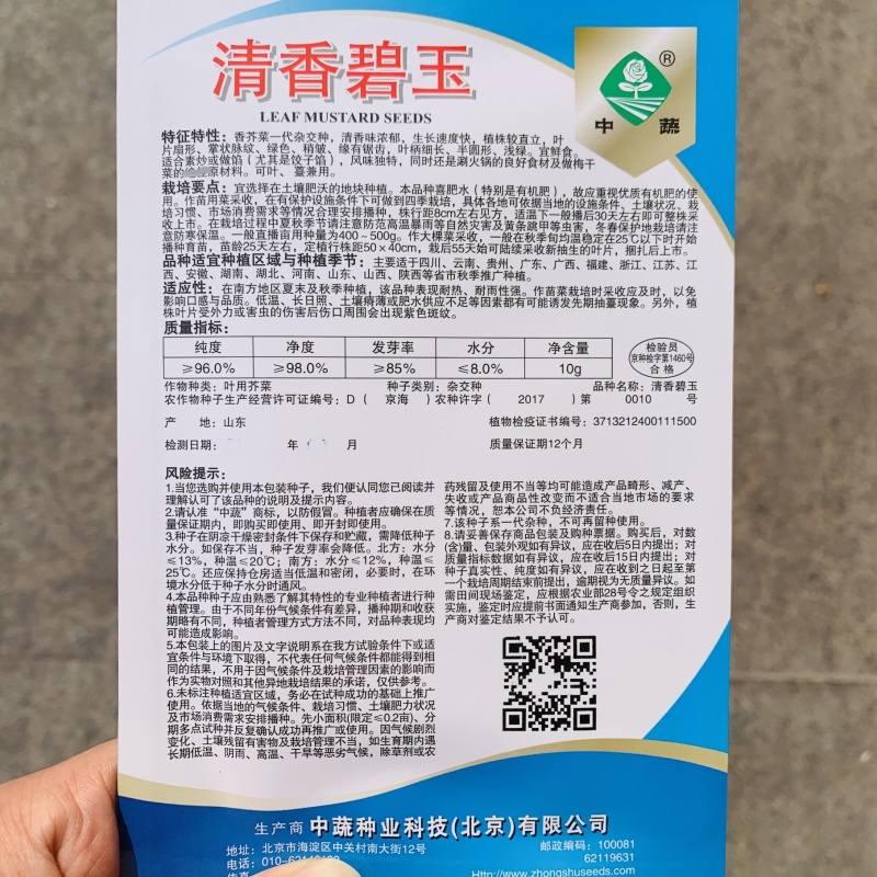 清香碧玉芥菜种子香叶青菜种籽香菜饺子菜种子阳台田园蔬菜