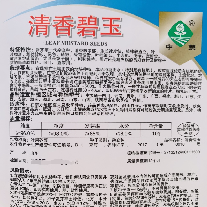 清香碧玉芥菜种子香叶青菜种籽香菜饺子菜种子阳台田园蔬菜
