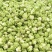 鲜榨菜2万斤左右