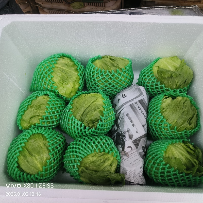 云南球生菜