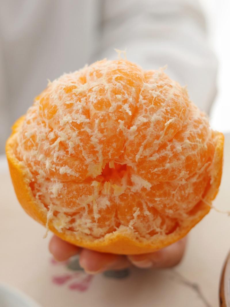 大雅柑