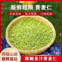 河南青麦仁源头厂家直供青麦粒厂家量大从优欢迎合作共赢！诚经营