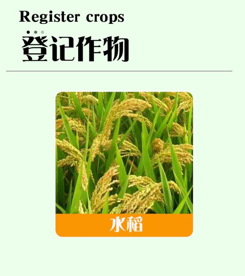 山东华阳战警50%噻嗪酮水稻农药稻飞虱农药杀虫剂