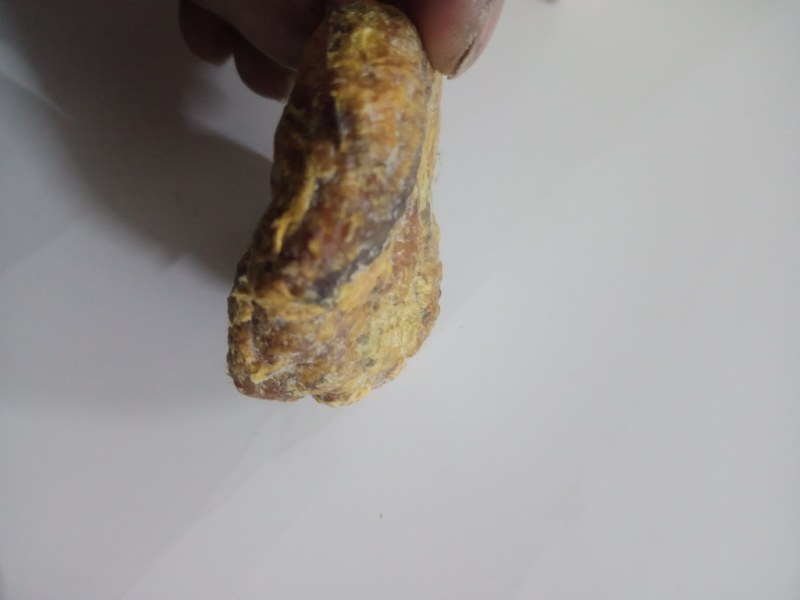 珍藏鸡宝，急出