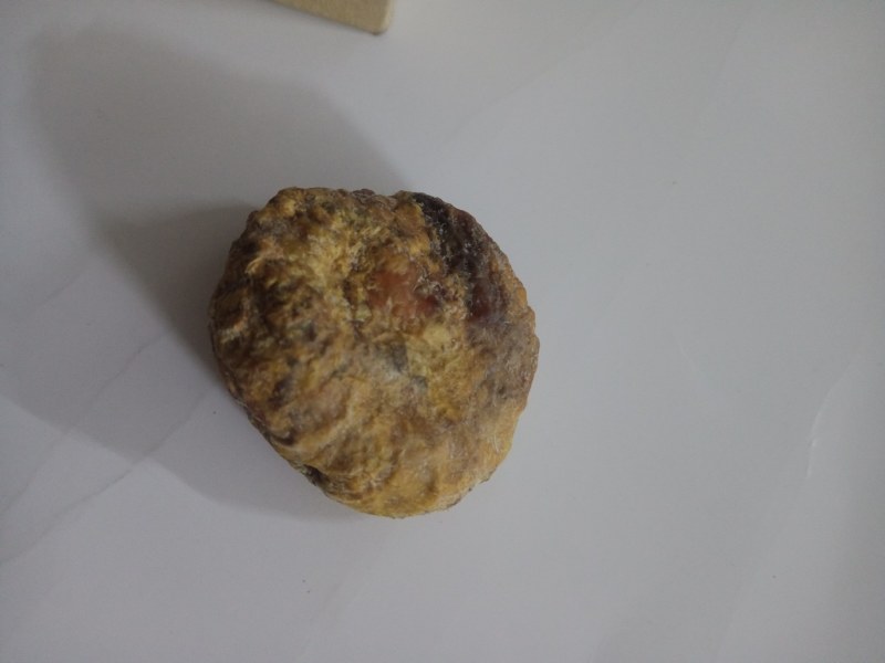 珍藏鸡宝，急出