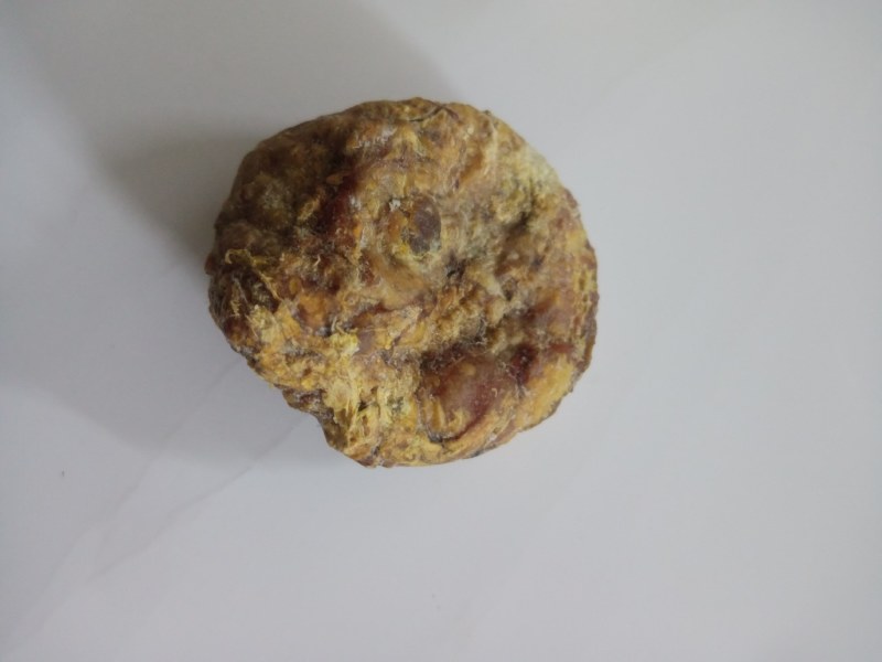 珍藏鸡宝，急出