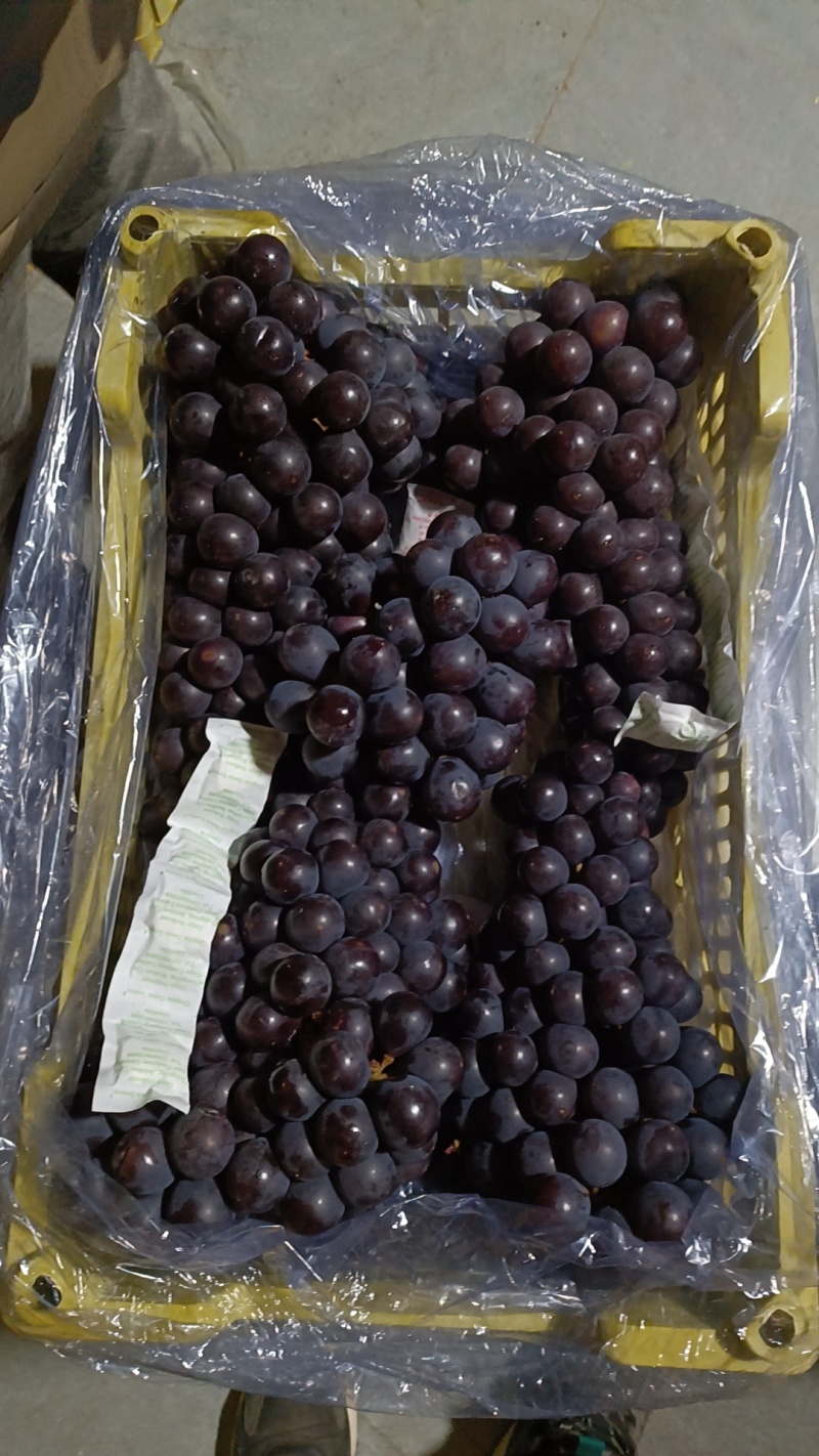 辽宁北镇冷库巨丰大量现货价格便宜