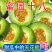 羊角蜜甜瓜，蜜源十八，博洋七二甜瓜，支持电一件代发，代收