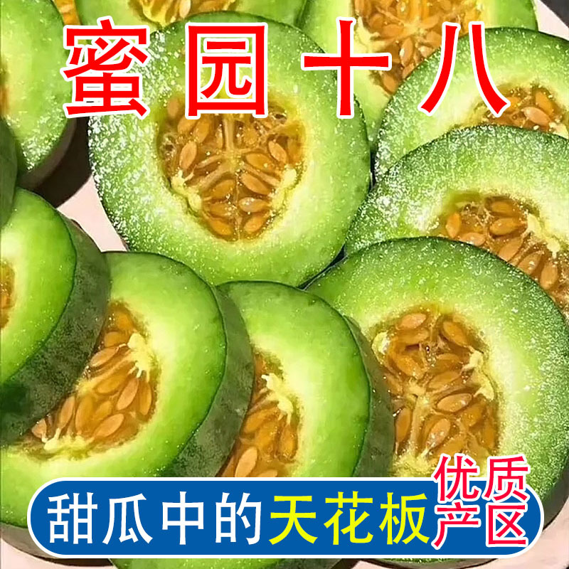 羊角蜜甜瓜，蜜源十八，博洋七二甜瓜，支持电一件代发，代收