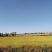 出租农田地